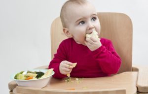 1100_baby_led_weaning